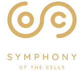 Symphonie of Cells